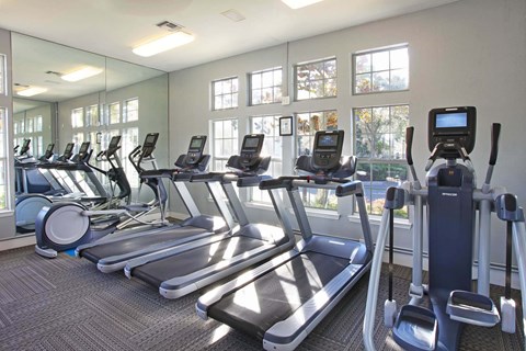 Fitness studio with cardio and weight machines