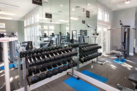 Fitness studio with free weight station