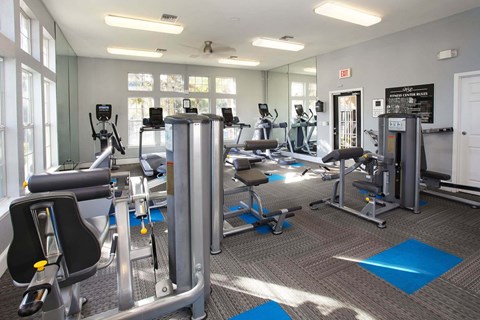 Fitness studio with cardio and weight machines