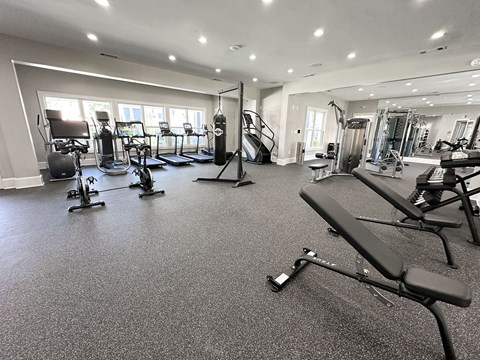 Professional fitness studio with free weights