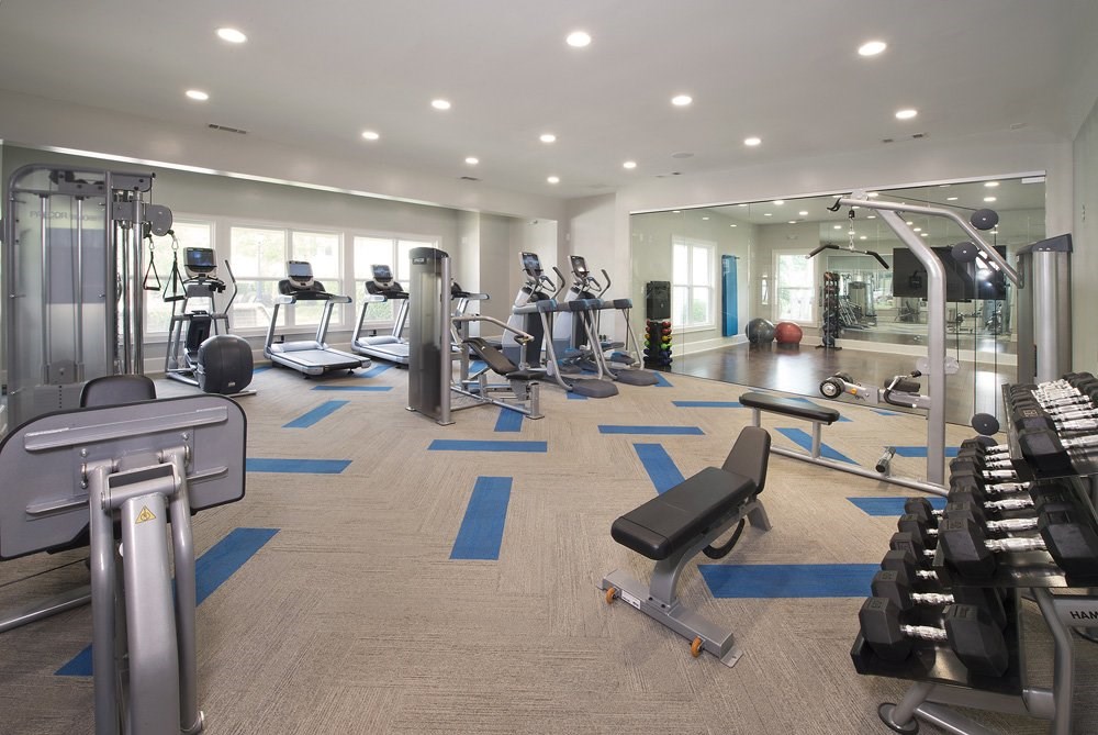 Professional fitness studio with free weights