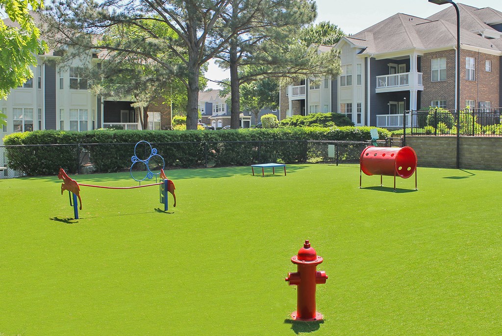 Fenced dog park with artificial turf and agility equipment