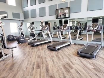 Professional fitness studio