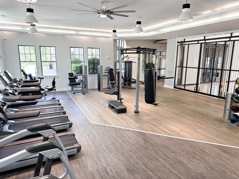 A spacious gym with treadmills, weights, and a fan.