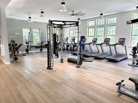 A gym with treadmills, weights, and a fan.