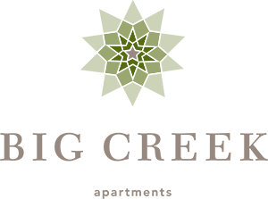 A green star-shaped object is in the middle of a light green area.
