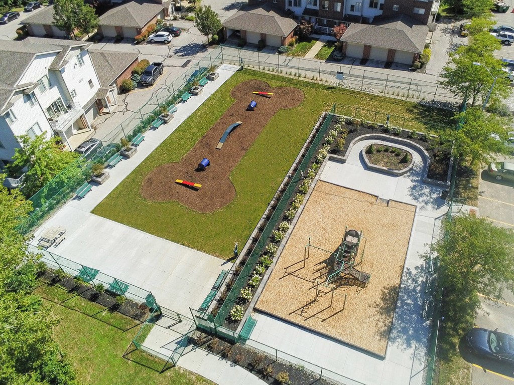 Dog park and playground