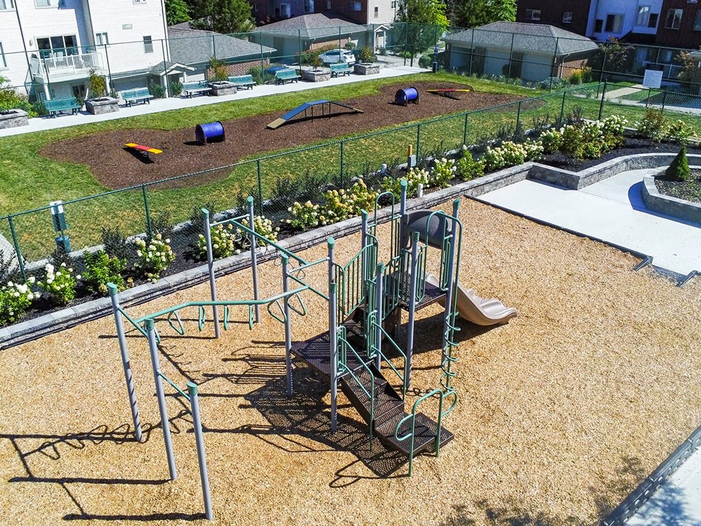 Dog park and playground