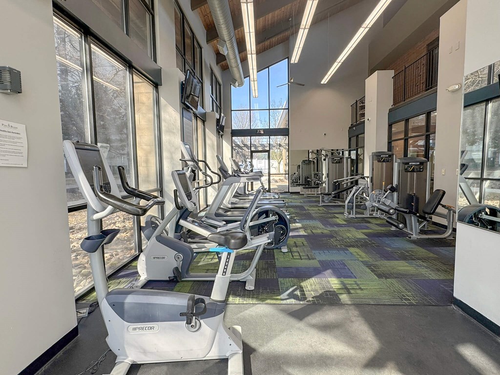 A gym with treadmills and elliptical machines.