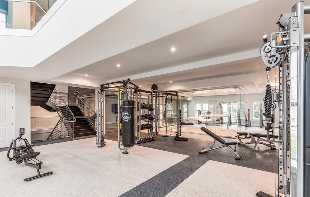 Professional fitness studio with Matrix equipment and boxing station