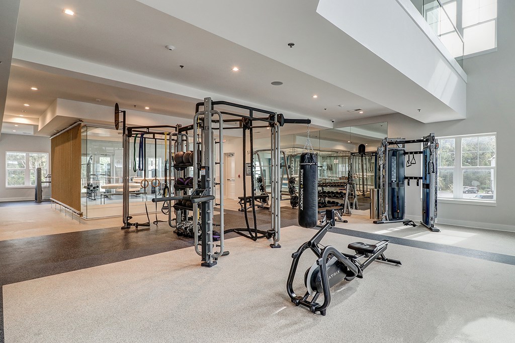 Fitness center with weight machines and free weights