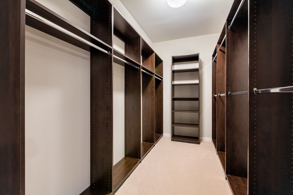 Large walk-in closets with shelving