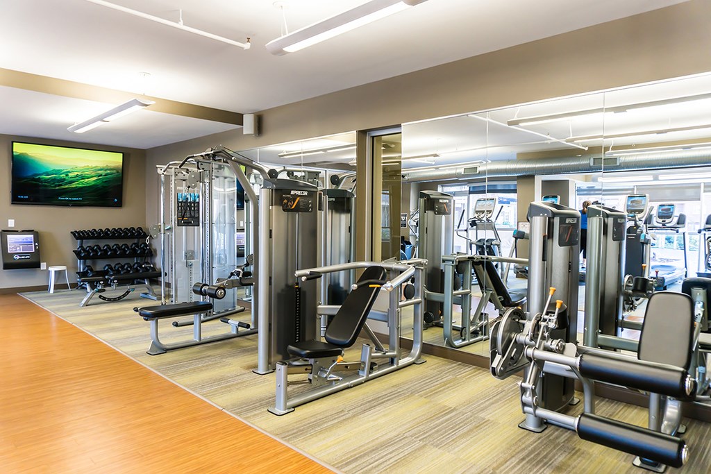 Fitness studio with cardio machines and free weights