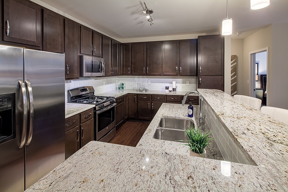 Kitchens with granite countertops, stainless steel appliances and 42" espresso kitchen cabinetry