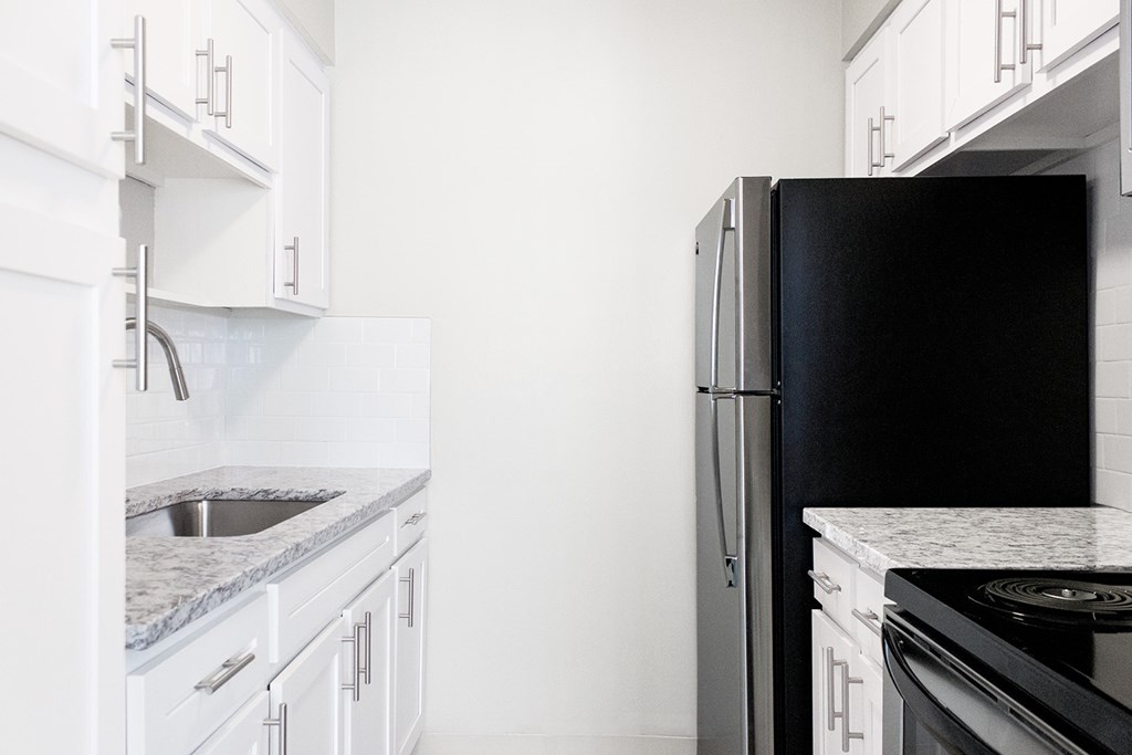 Granite countertops with stainless steel appliances