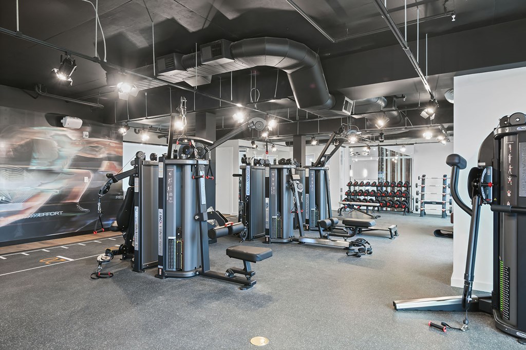 Weight machines in bi-level fitness studio