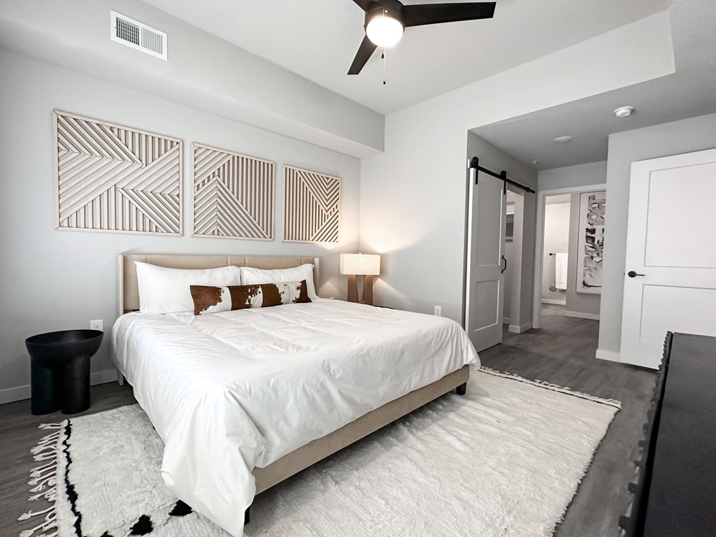 Main bedroom, closet and bathroom entrance in model