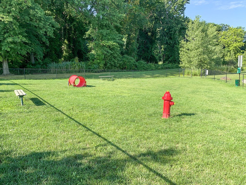 Fenced dog park with agility equipment