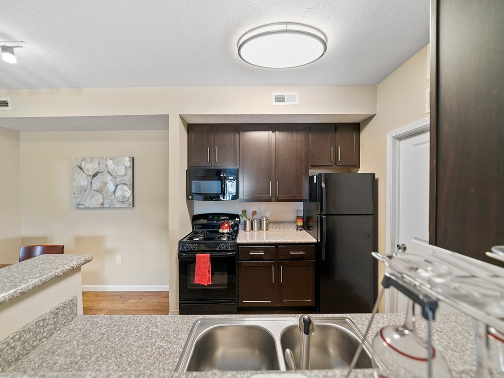 Fully-equipped kitchens with sleek black appliance package