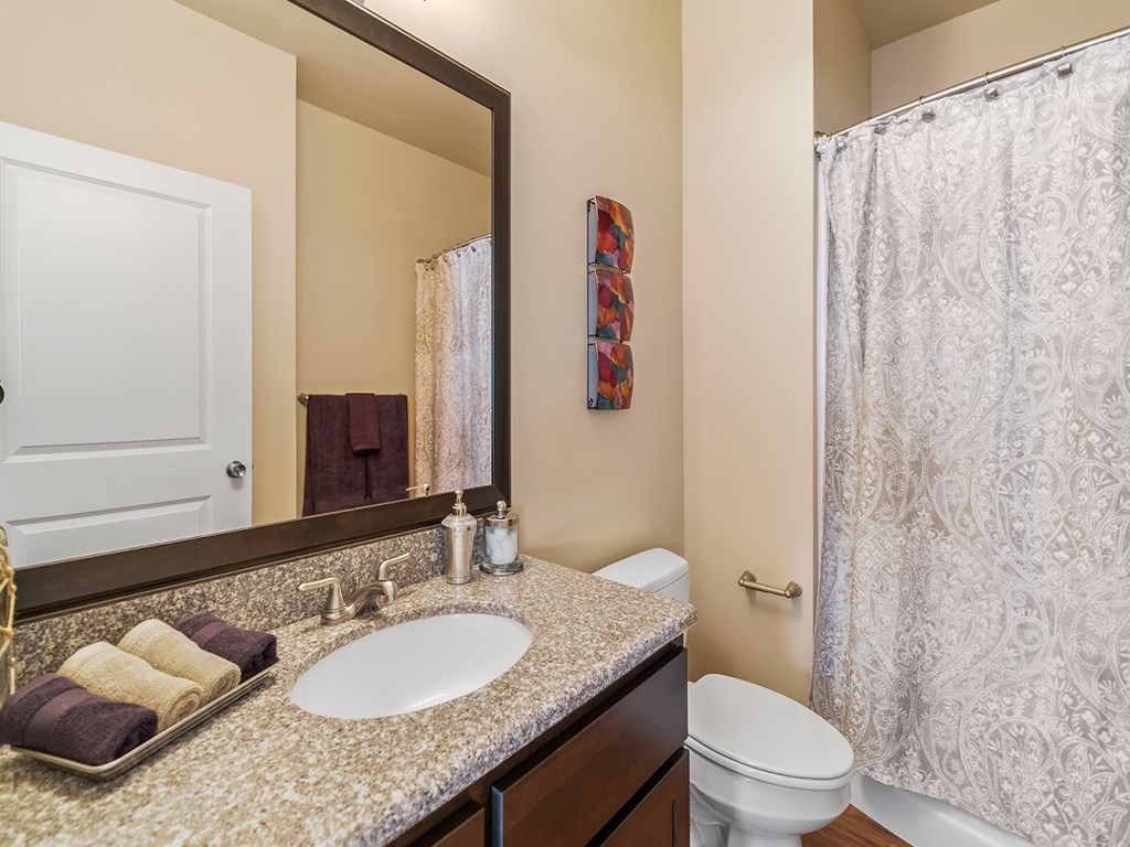 Bathrooms with granite countertops