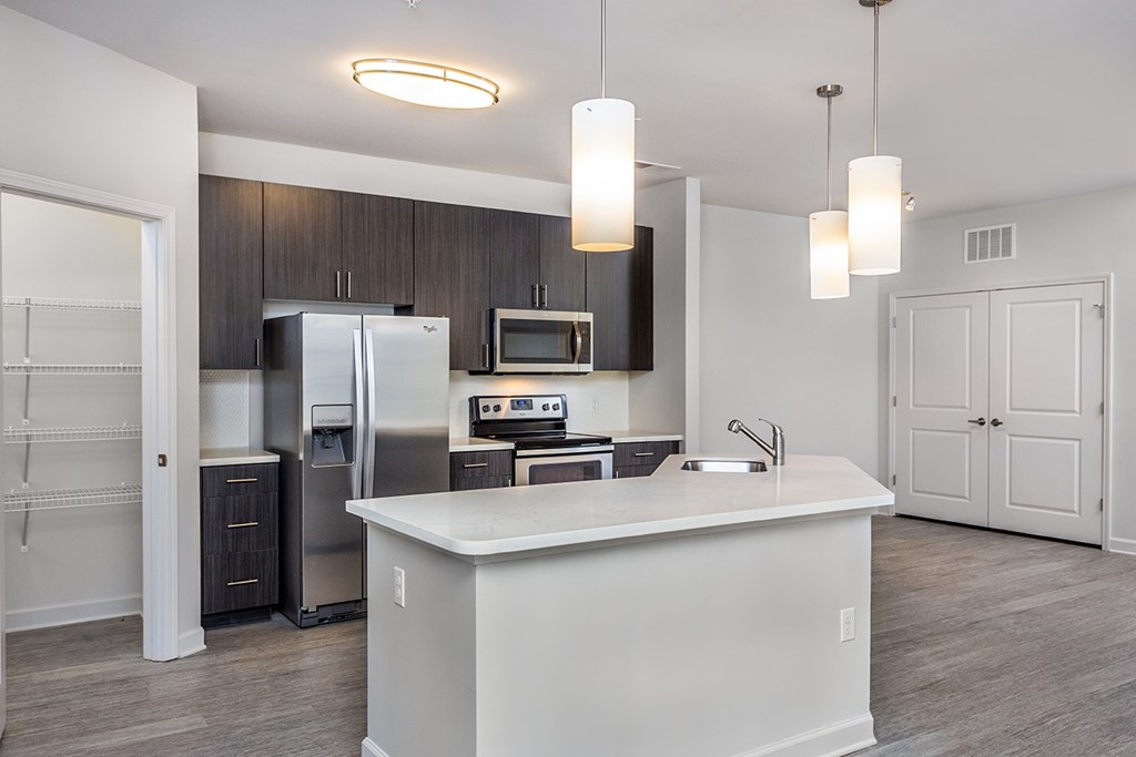 Large pantries in kitchens