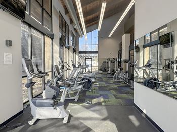 A gym with treadmills and elliptical machines.