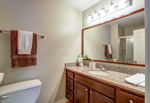 Renovated units with granite countertops in bathrooms