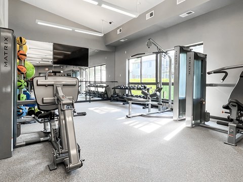 New professional-caliber fitness studio with Matrix equipment and free weights