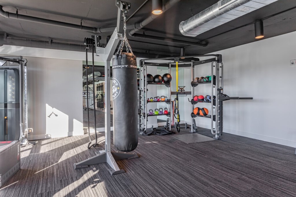 Professional fitness studio with boxing station