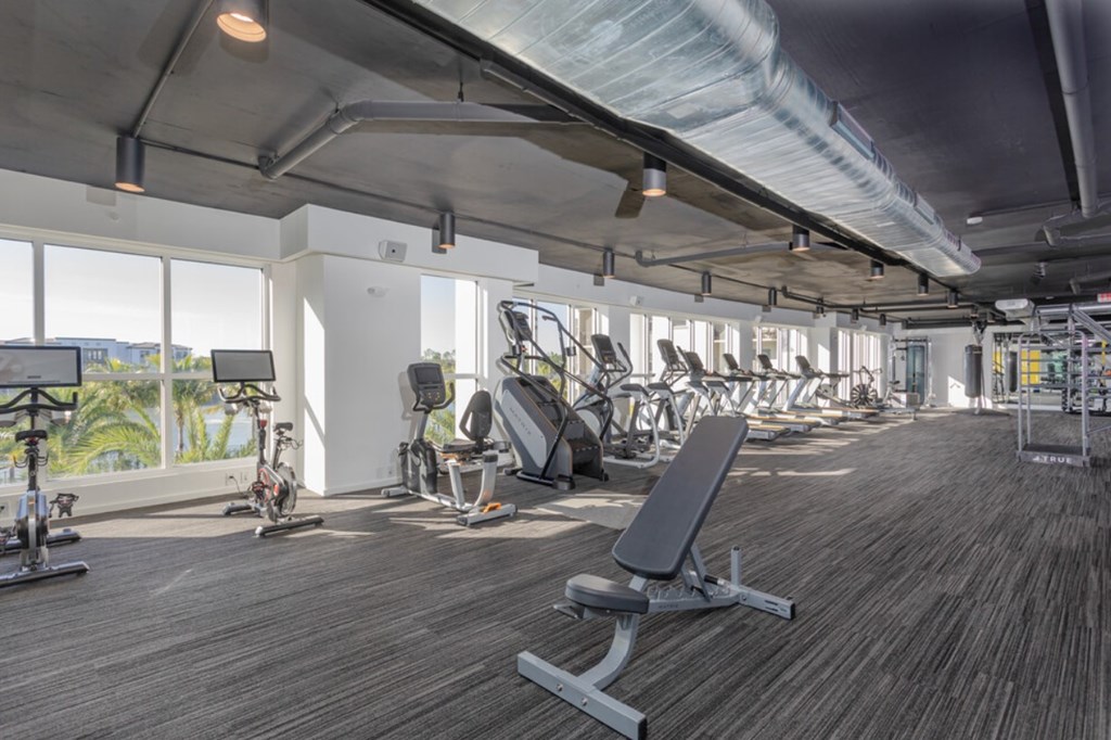 Professional fitness studio with Matrix equipment