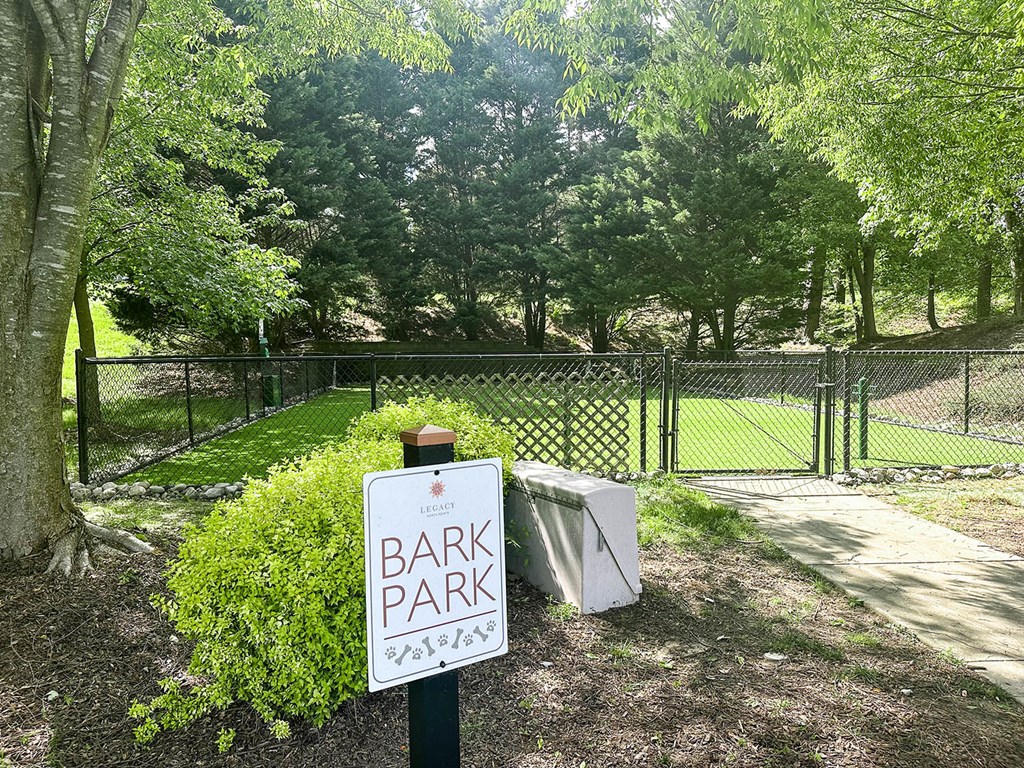 Playground with swings