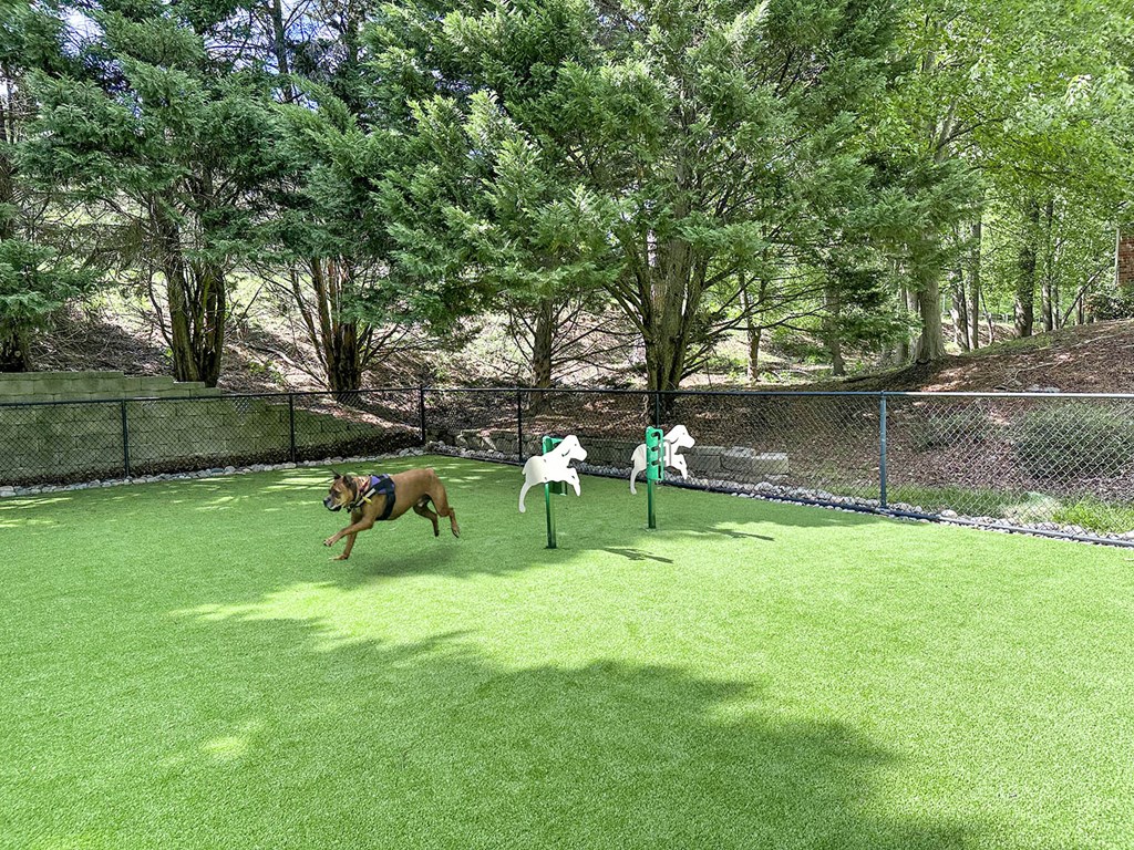 Playground with swings