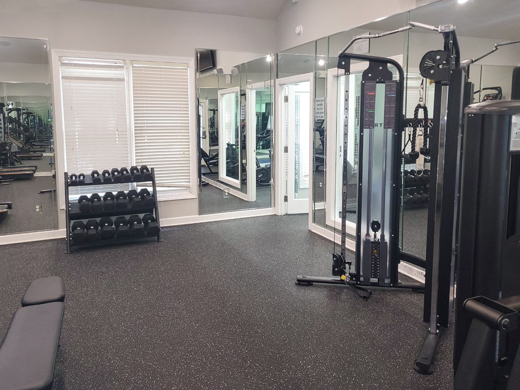 Professional fitness studio with Pilates/yoga zone and Precor equipment