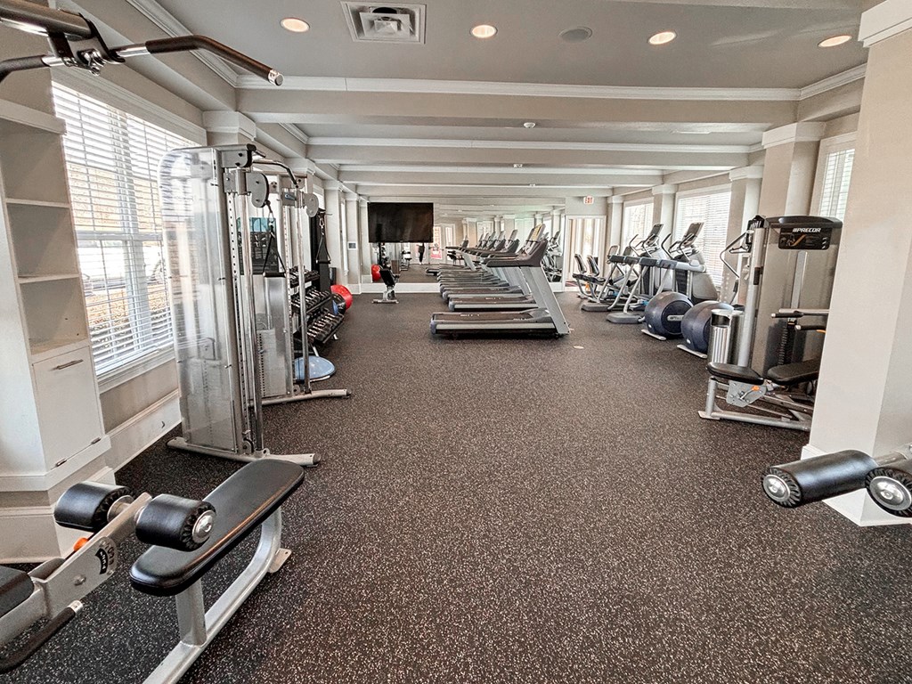 Fitness studio with cardio and weight machines