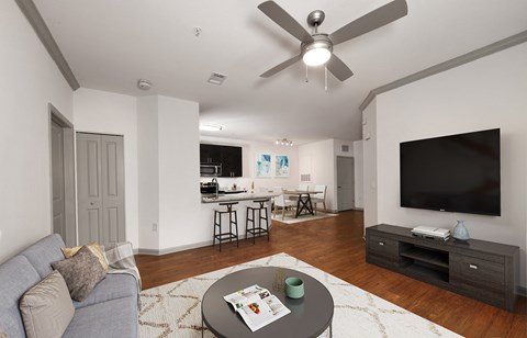 A living room with a grey couch and a black television.