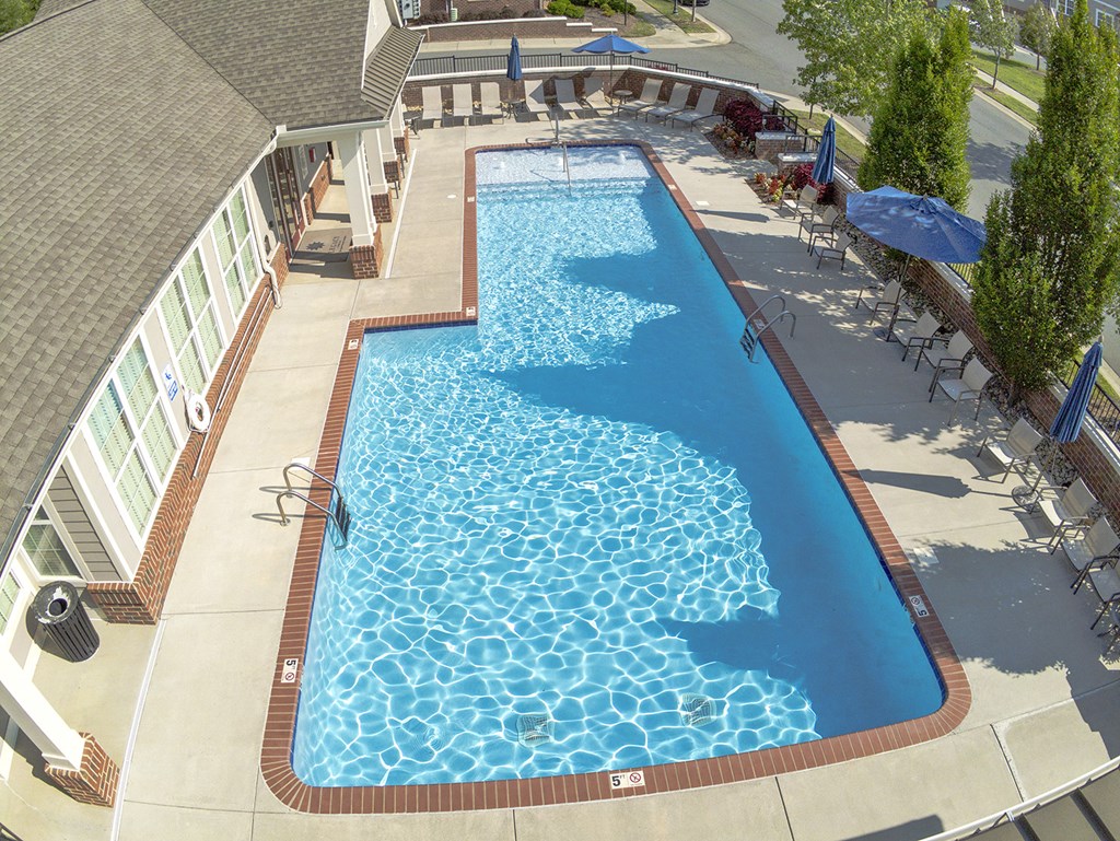 Legacy Cornelius pool with sunshelf