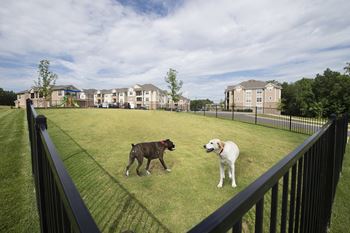 Dog park