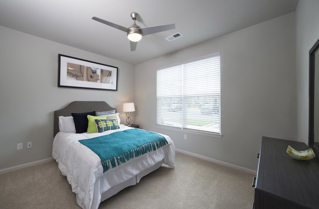Large bedrooms with ceiling fan