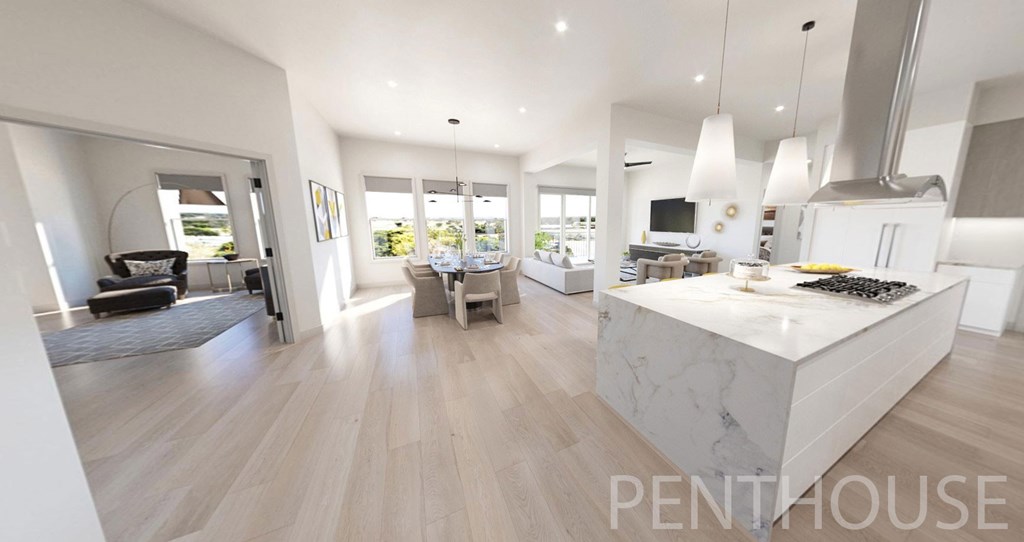 Penthouse entryway view