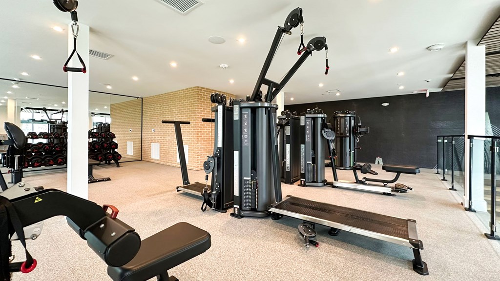 Bi-level fitness studio with weight machines and free weights