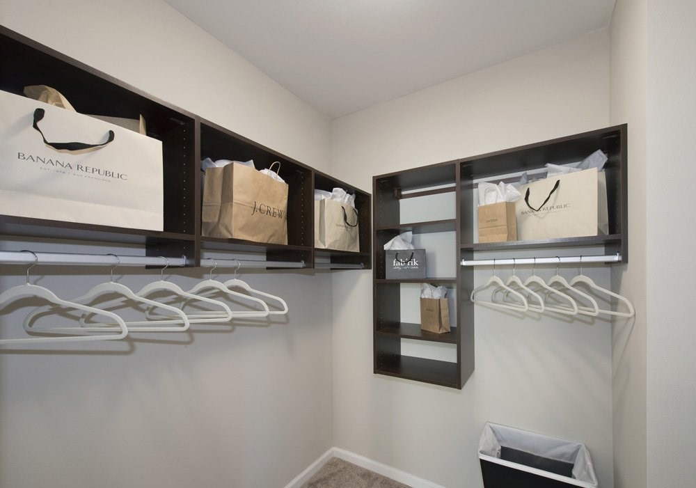 Walk-in closet with storage