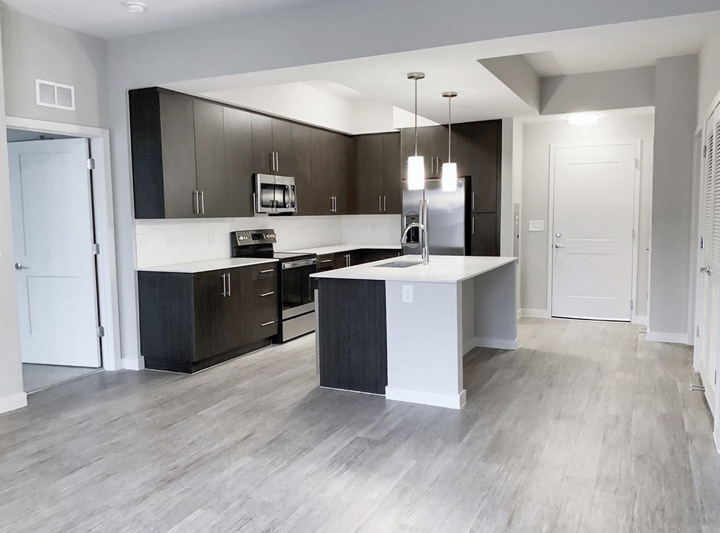 Large undermount sinks, stainless steel appliances and hardwood-inspired flooring in kitchens