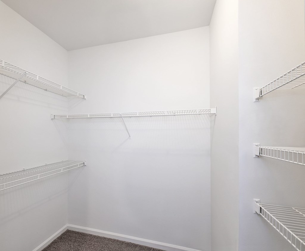 Large walk-in closets with shelving