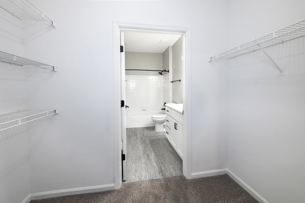 Large walk-in closets with shelving