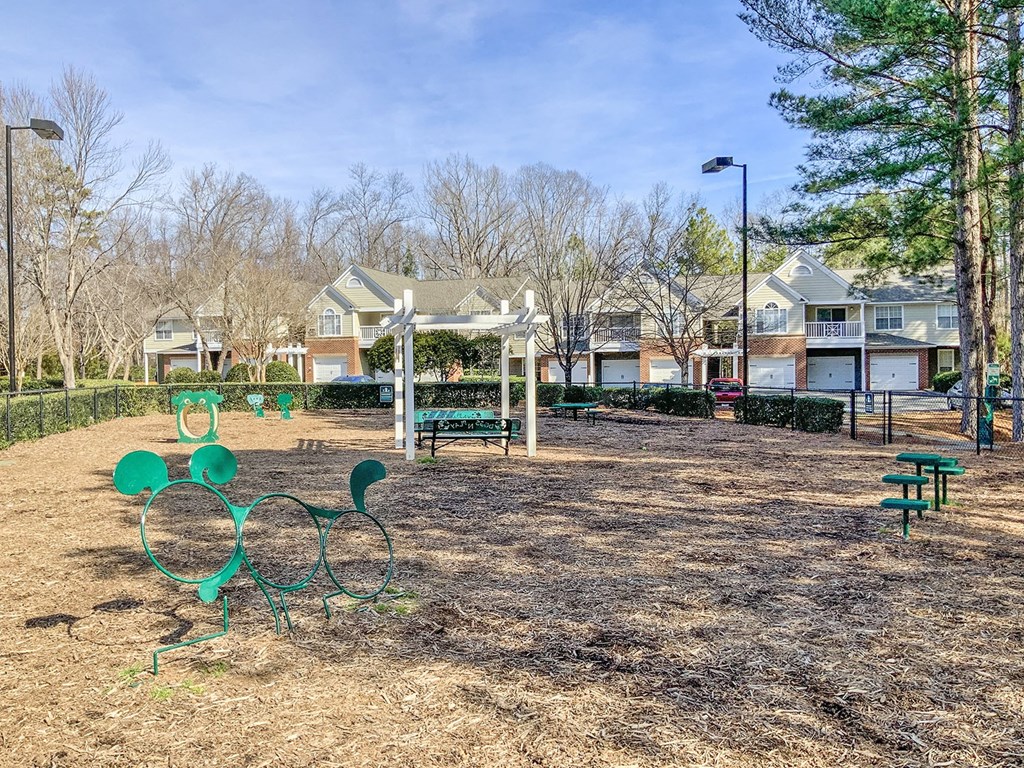 Fenced dog park with agility equipment