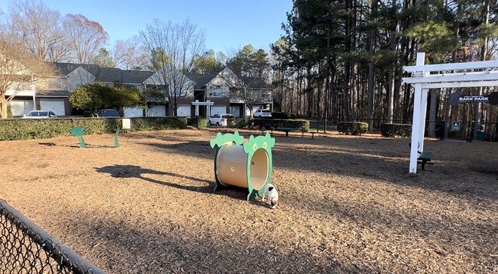 Fenced dog park with agility equipment