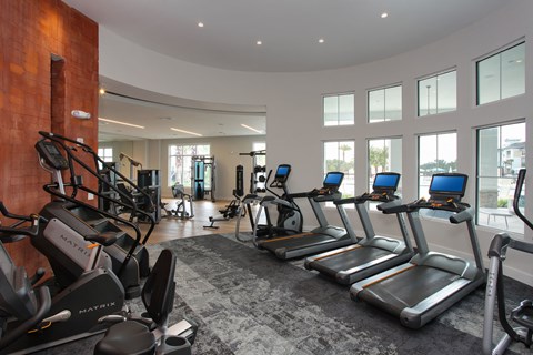 24-hour professional fitness studio with free weights, stretch zone and Matrix  equipment