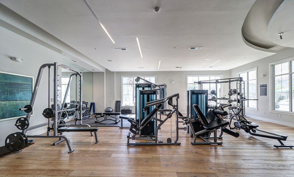 Fitness center with cardio and weight machines