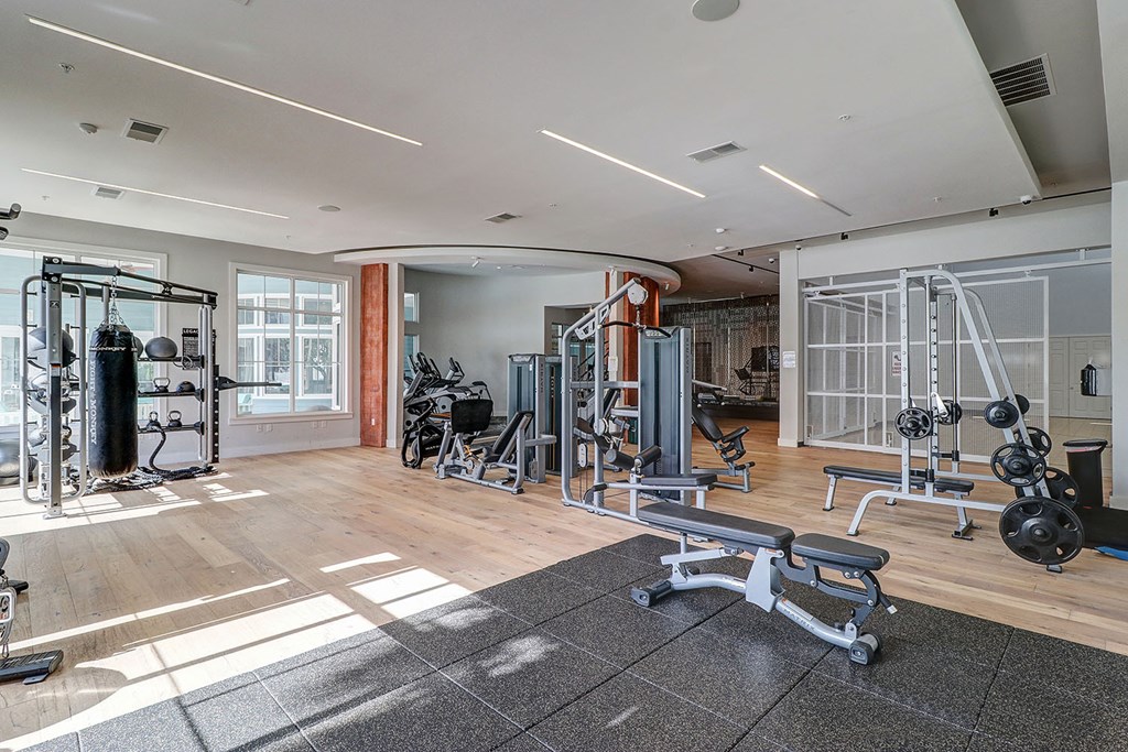 Fitness center with cardio machines, weight stations and free weights