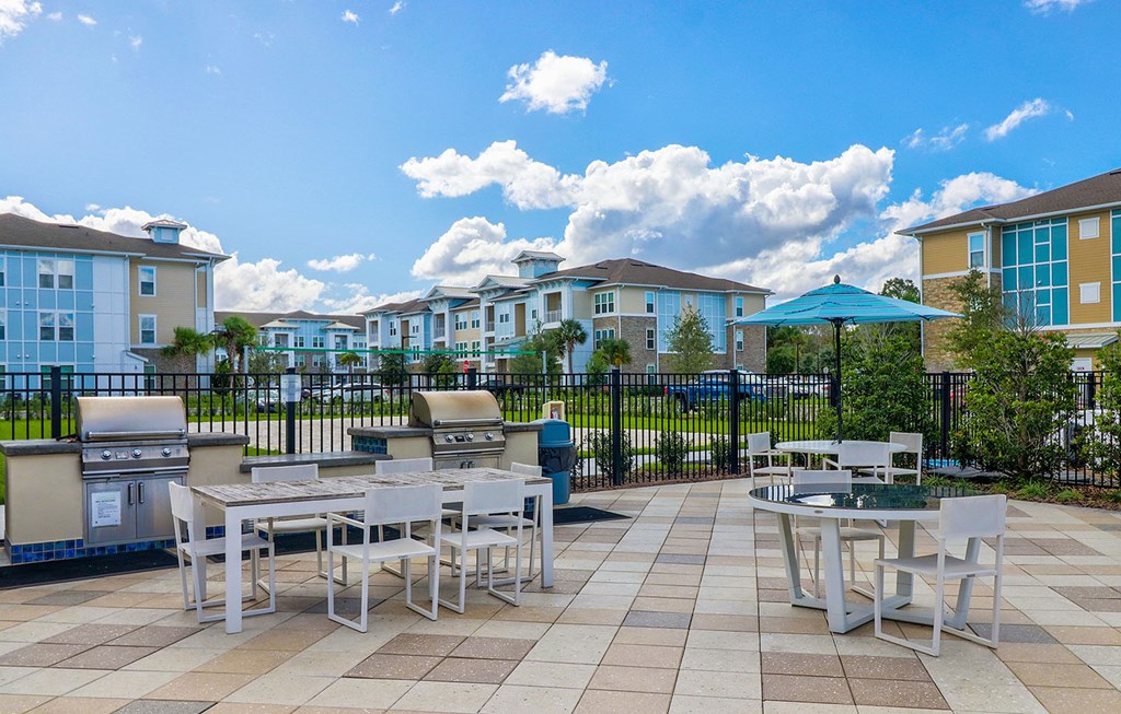 Gas grills for everyday use